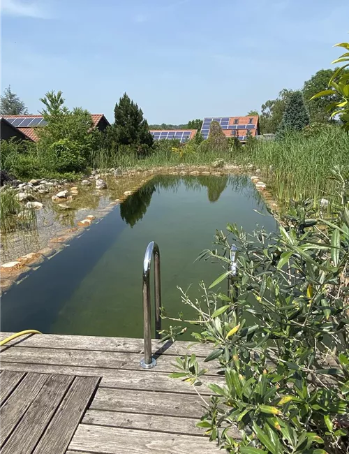 Gartengestaltung Gartengestaltung