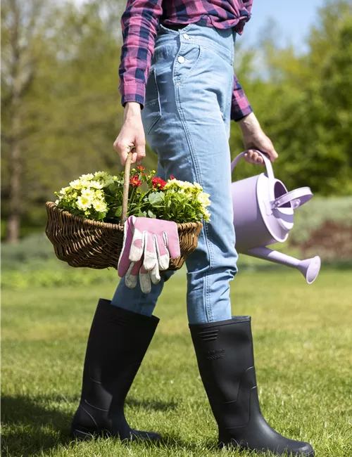 Gartenpflege Gartenpflege