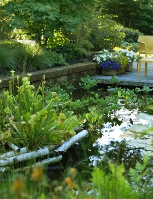 Gartengestaltung - Waldgarten Gartengestaltung - Waldgarten